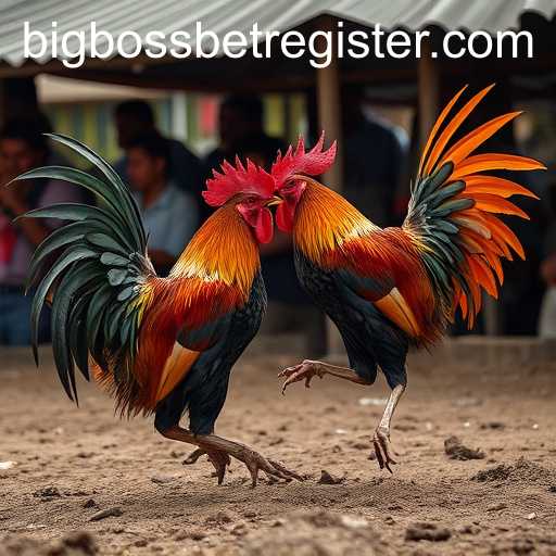 BigBossBet